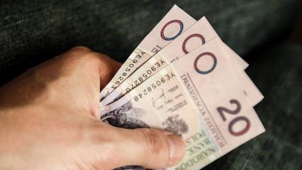 Ręka trzymające banknoty dwudziestozłotowe