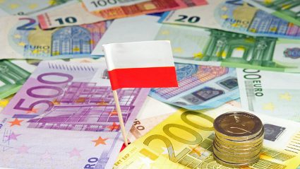Flaga Polski i euro
