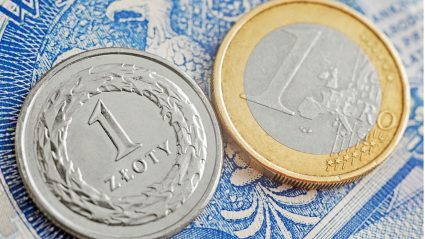 Złoty i euro - pieniądze