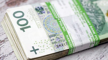 Plik polskich banknotów