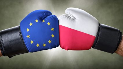Polska Unia Europejska