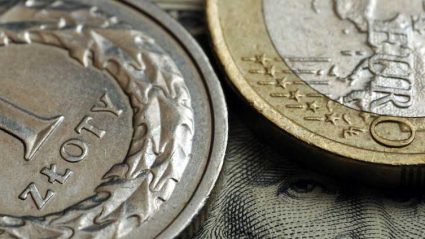 Monety euro i złoty