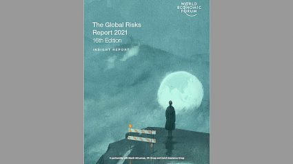 Raport Global Risks Report 2021