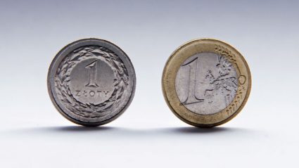 Monety euro i złoty