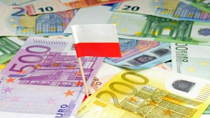 Flaga Polski wetknięta w euro