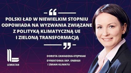 Doroty Zawadzka-Stępniak, dyrektorka departamentu energii i zmian klimatu Konfederacji Lewiatan