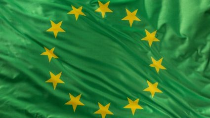 Zielona flaga Unii Europejskiej