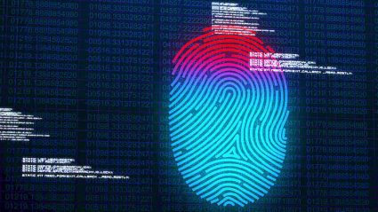 biometria, wirtualny odcisk palca
