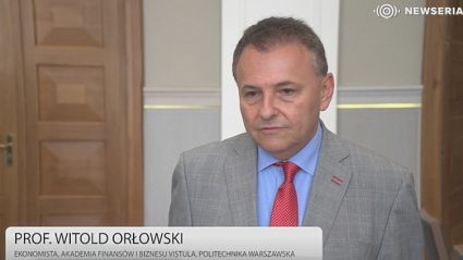prof. Witold Orłowski, ekonomista z Akademii Finansów i Biznesu Vistula oraz Politechniki Warszawskiej