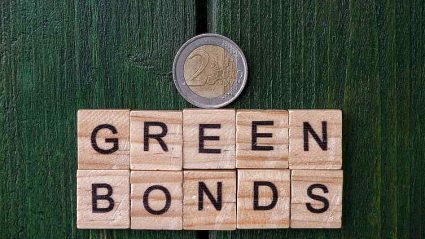 zielone obligacje, napis na drewnianych klockach po angielsu, na tle zielonej deski i monety euro