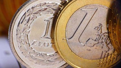 Monety: polski złoty i euro