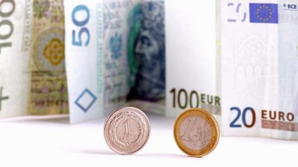 Pieniądze euro i polski złoty