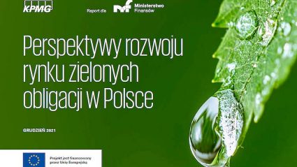 Raport: Perspektywy rozwoju rynku zielonych obligacji w Polsce