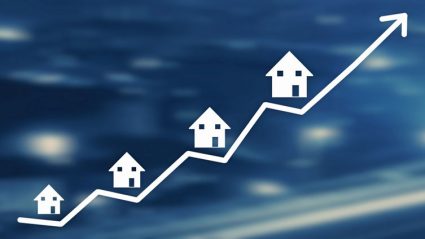 Modele domków i wykres wzrostowy