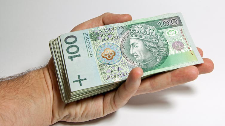 Firmy pożyczkowe udzieliły w grudniu finansowania o wartości 768 mln zł, to aż o 66,2 proc. więcej rdr
