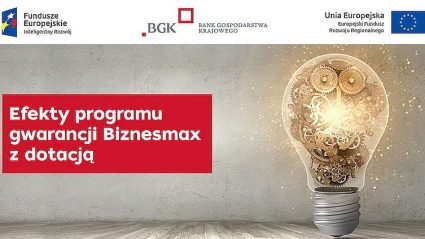 Efekty programu gwarancji Biznesmax z dotacją – raport z badania 2021