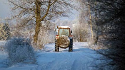 Traktor na zimowej polnej drodze z balotem siana