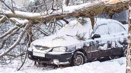 zima, samochód pokryty śniegim, złamane drzewo na dachuu
