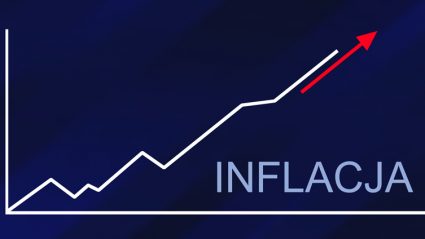 Wykres z napisem inflacja