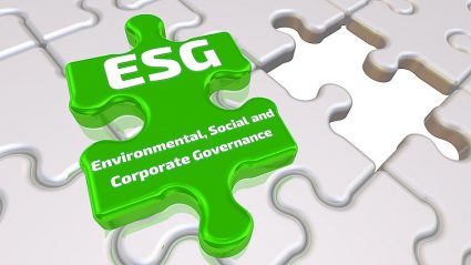 puzzle z napisem ESG