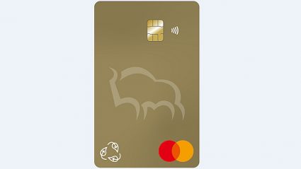 Karta Kredytowa z Żubrem