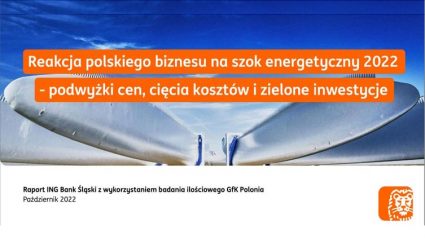 Raport „Reakcja polskiego biznesu na szok energetyczny 2022. Podwyżki cen, cięcia kosztów i zielone inwestycje”